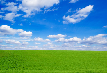 Similar image 2921811