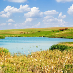 Similar image 2921812