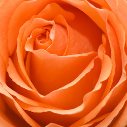 Similar image 2921816