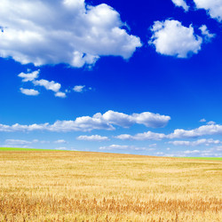 Similar image 2921824