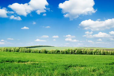 Similar image 2921832