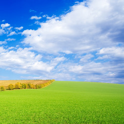 Similar image 2921837