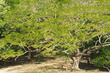 Similar image 2921915