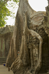 Similar image 2921988