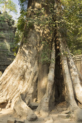 Similar image 2921993