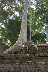 Similar image 2921994