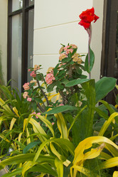 Similar image 2922009