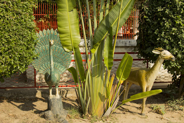 Similar image 2922010