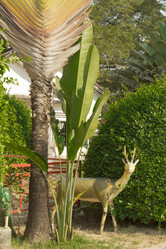 Similar image 2922011