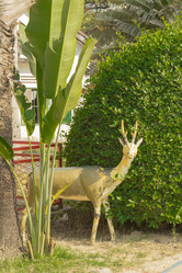 Similar image 2922012