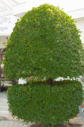 Similar image 2922031