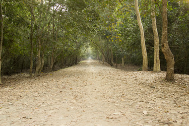 Similar image 2922075