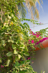 Similar image 2922086