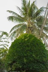 Similar image 2922087