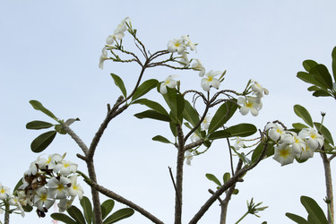 Similar image 2922088