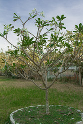 Similar image 2922090