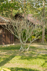 Similar image 2922092