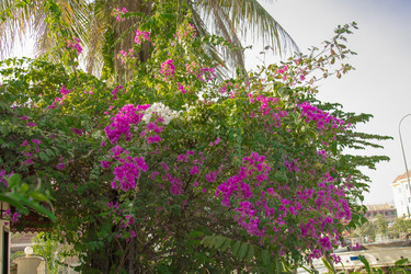 Similar image 2922093