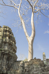 Similar image 2922094