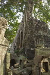 Similar image 2922101