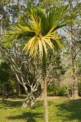 Similar image 2922104