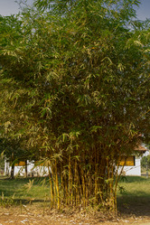 Similar image 2922109