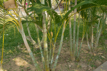 Similar image 2922112