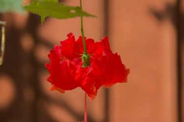 Similar image 2922117