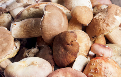 Similar image 2922163