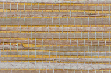 Similar image 2922170