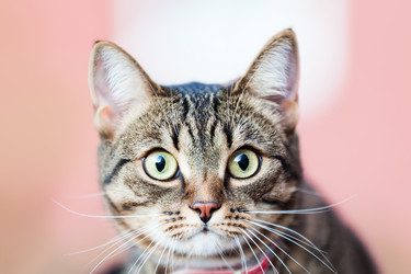 Similar image 2922180