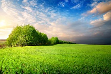 Similar image 2922195