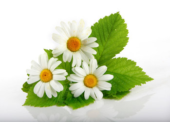 Similar image 2922308