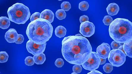 Similar image 2922335