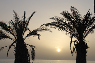 Similar image 2922362