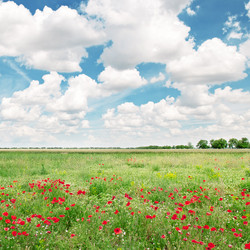 Similar image 2922448
