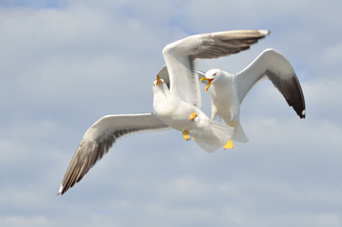 Similar image 2922470