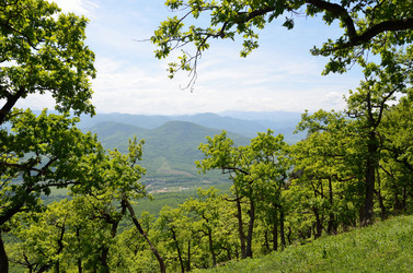 Similar image 2922472