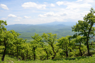 Similar image 2922492