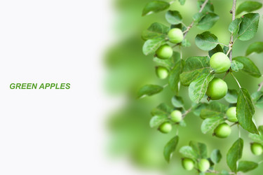 Similar image 2922573