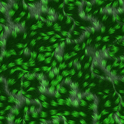 Similar image 2922644