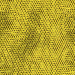 Similar image 2922651