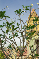 Similar image 2922694