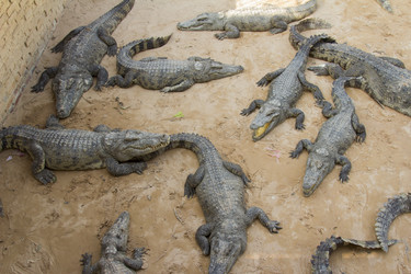 Similar image 2922701