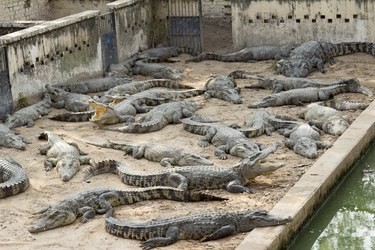 Similar image 2922703