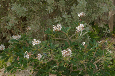 Similar image 2922706