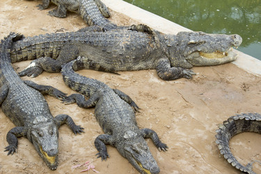 Similar image 2922718