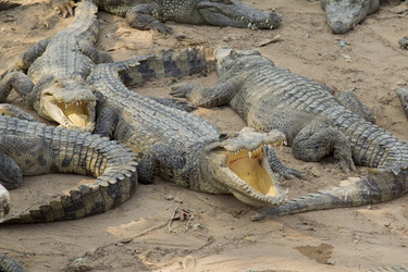 Similar image 2922722