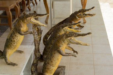 Similar image 2922725