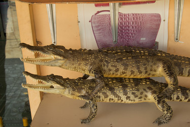 Similar image 2922727